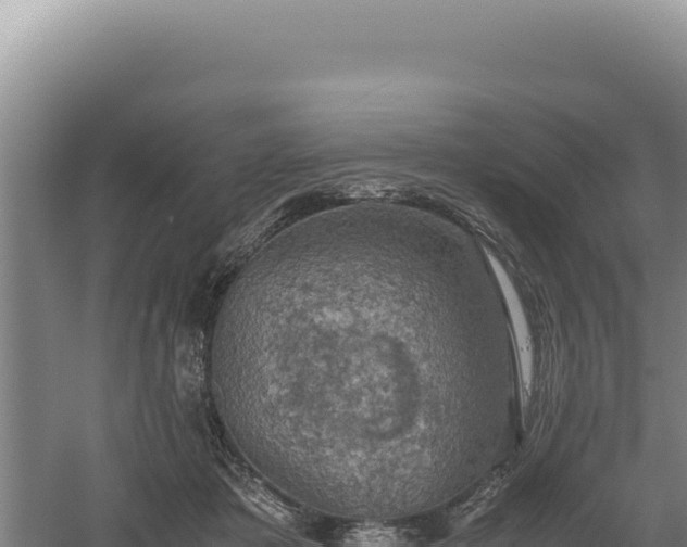 X0000060570413200511101635