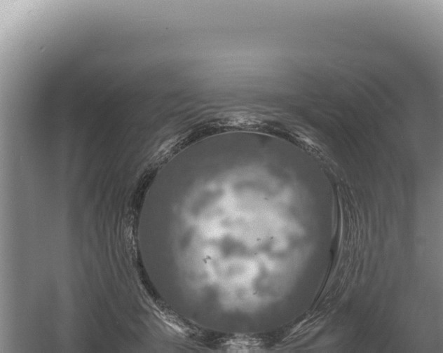 X0000060570415200511101635