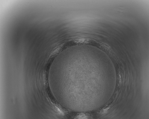 X0000060570416200511101635