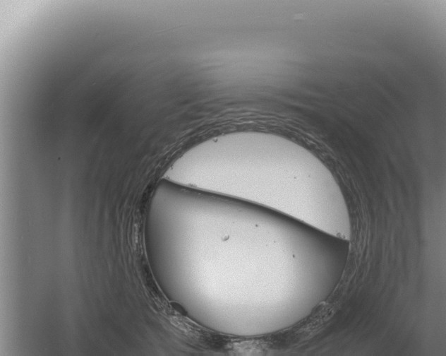 X0000060570417200511101635