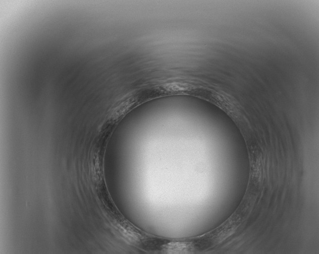 X0000060570418200511101635