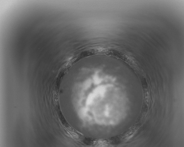 X0000060570419200511101635