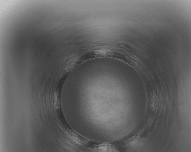 X0000060570420200511101635