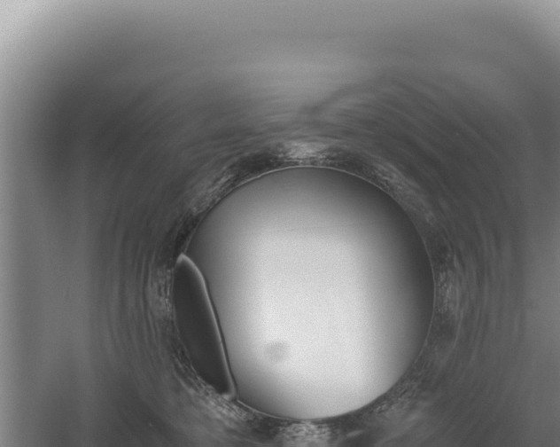 X0000060570421200511101635