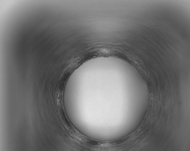 X0000060570423200511101635