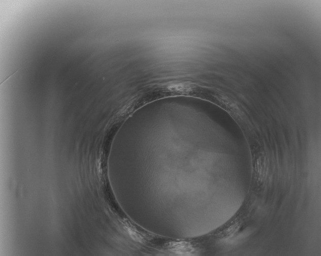 X0000060570424200511101634