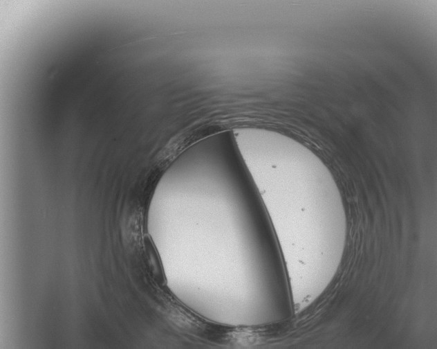 X0000060570425200511101634