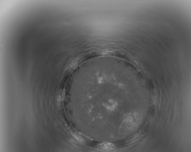 X0000060570427200511101634