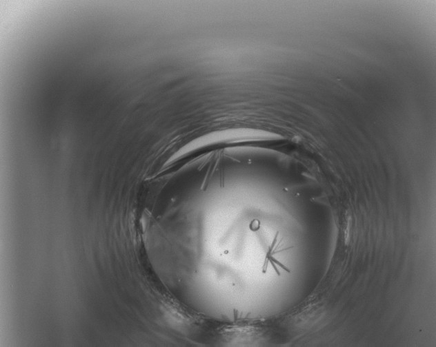 X0000060570428200511101634