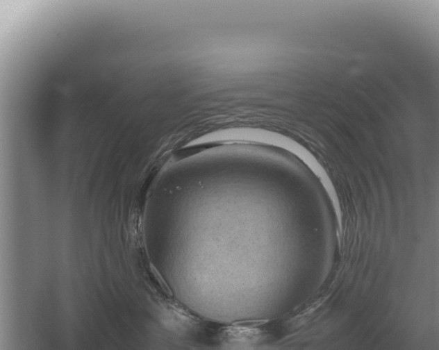 X0000060570429200511101634