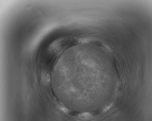 X0000060570431200511101634