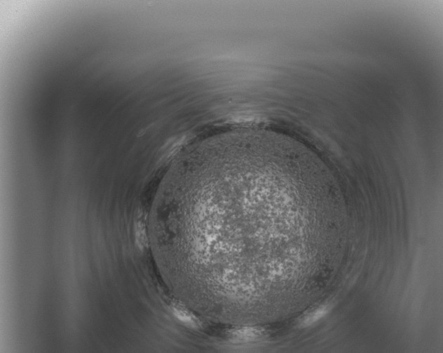 X0000060570432200511101634