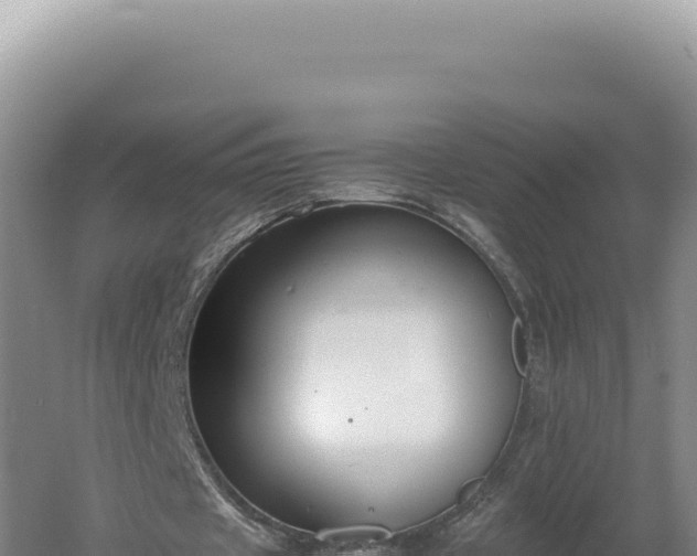 X0000060570433200511101634