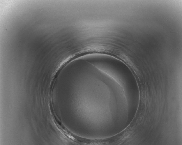 X0000060570434200511101634