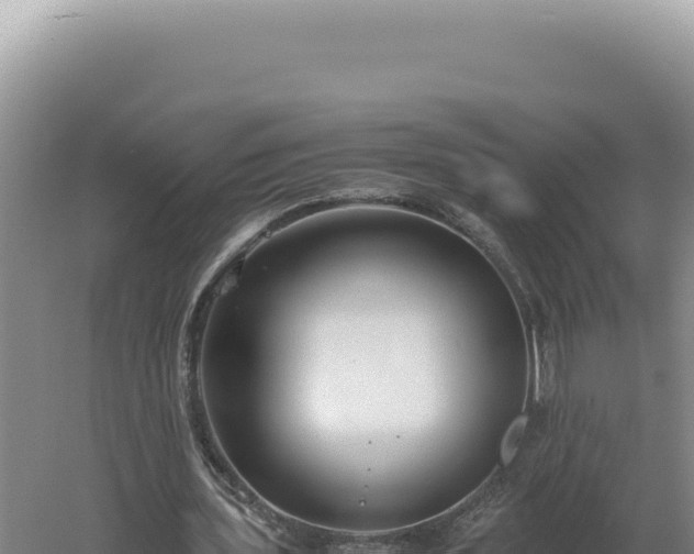 X0000060570435200511101634