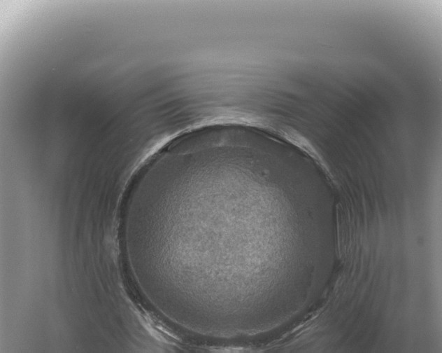 X0000060570436200511101634