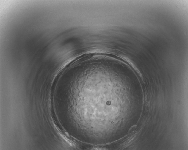 X0000060570437200511101634