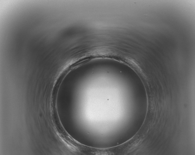 X0000060570439200511101634