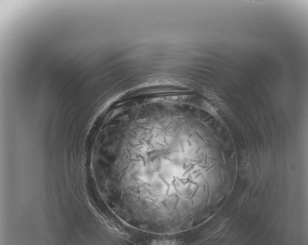 X0000060570440200511101634