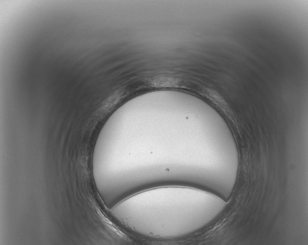 X0000060570441200511101634