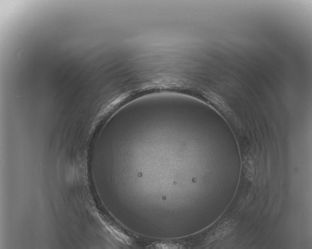 X0000060570442200511101634