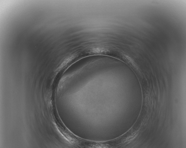 X0000060570443200511101634