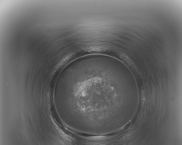 X0000060570444200511101634