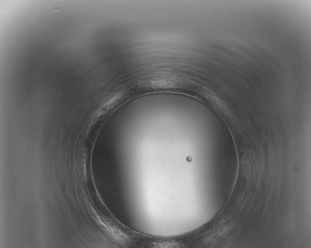 X0000060570446200511101634