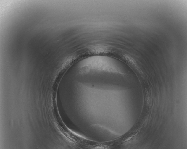 X0000060570447200511101634