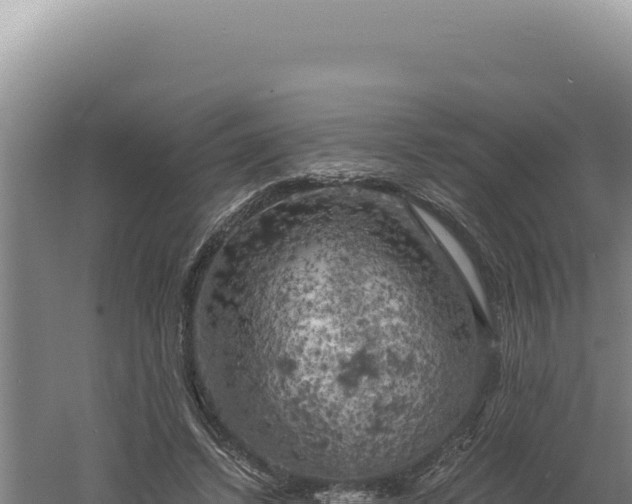 X0000060570448200511101634