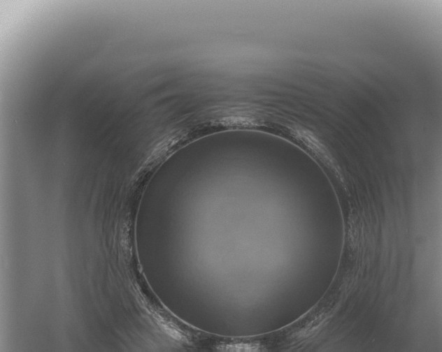 X0000060570449200511101634