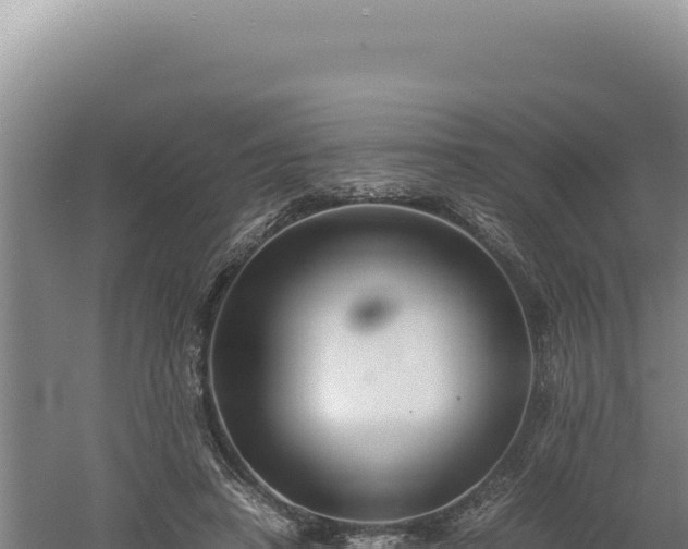 X0000060570450200511101634