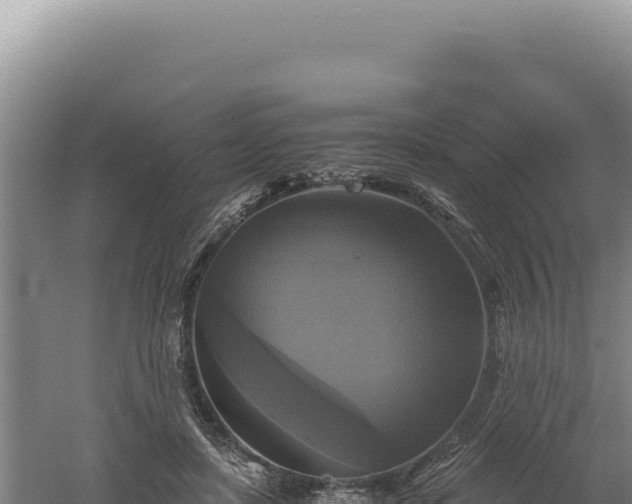 X0000060570451200511101634