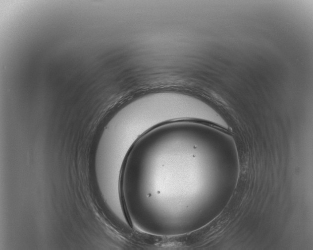 X0000060570452200511101634