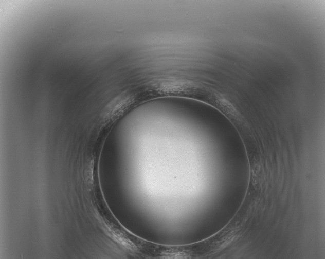 X0000060570454200511101634