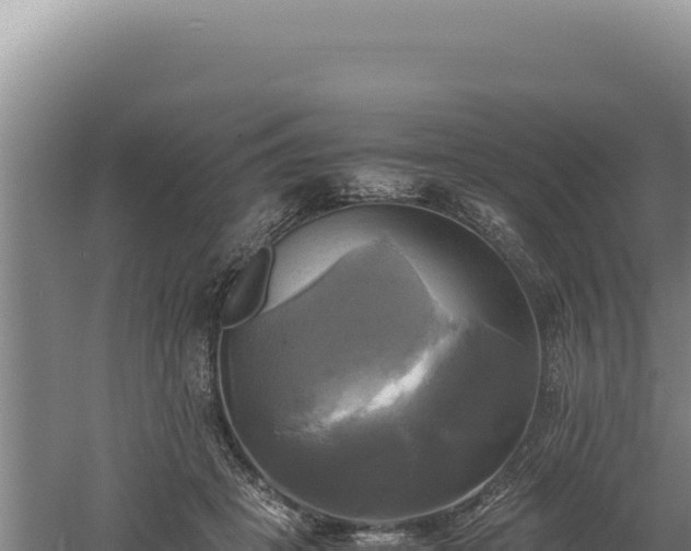 X0000060570457200511101634