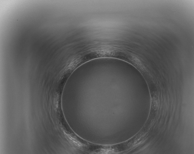 X0000060570458200511101634