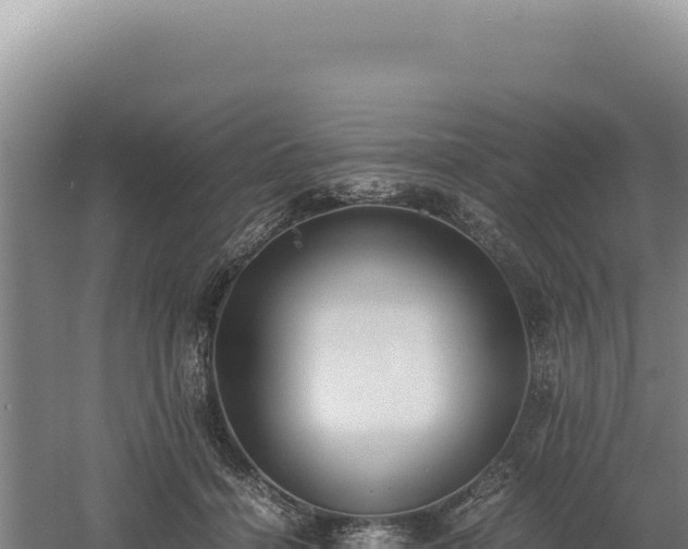 X0000060570460200511101634