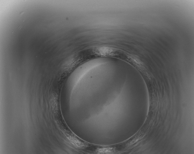 X0000060570461200511101634