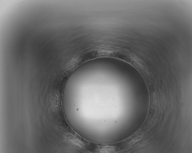 X0000060570463200511101634