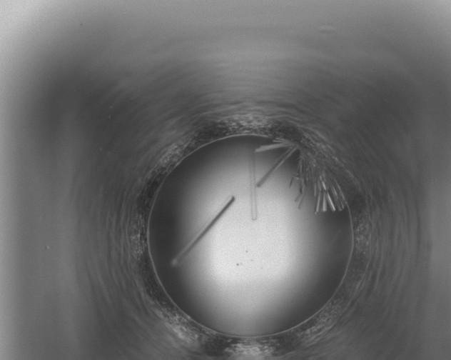 X0000060570464200511101634