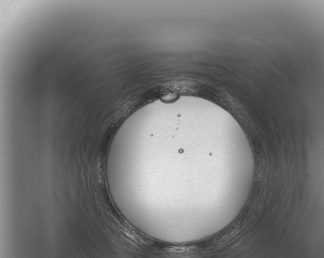 X0000060570465200511101634