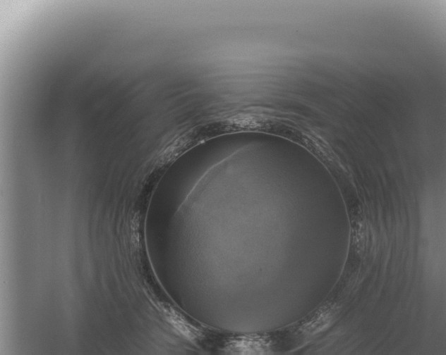 X0000060570466200511101634