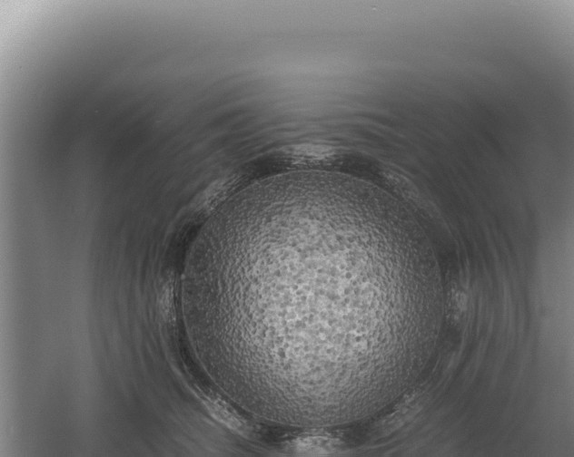 X0000060570468200511101634