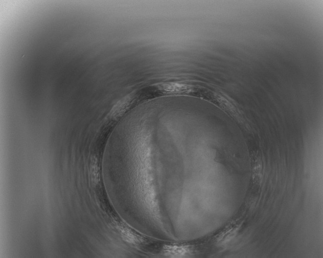 X0000060570469200511101634