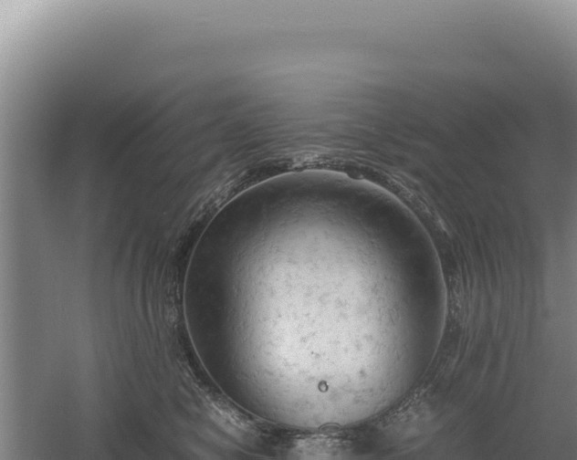 X0000060570470200511101634