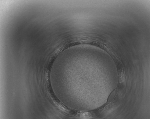 X0000060570472200511101634