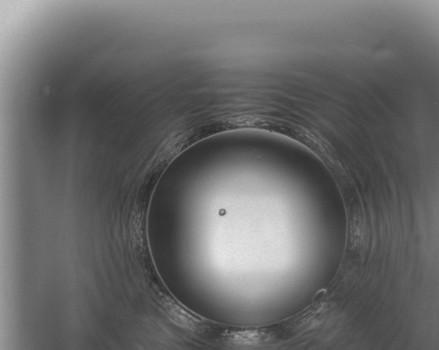 X0000060570473200511101634