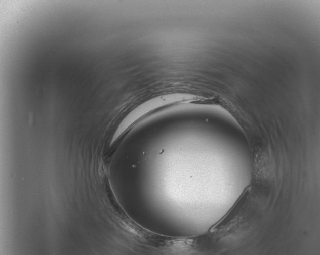 X0000060570474200511101634