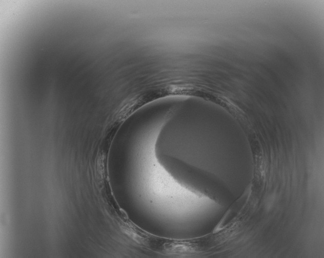 X0000060570475200511101634